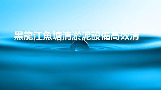黑龍江魚塘清淤泥設備高效清淤技術助力水域生態(tài)恢復！